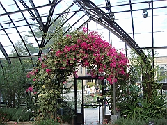 308 Longwood Gardens [2008 August 23]